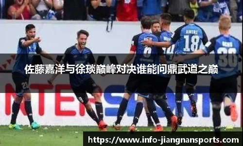 佐藤嘉洋与徐琰巅峰对决谁能问鼎武道之巅